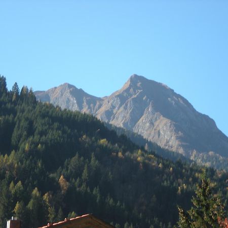 Haus Zerza Apartment Dorfgastein Exterior photo