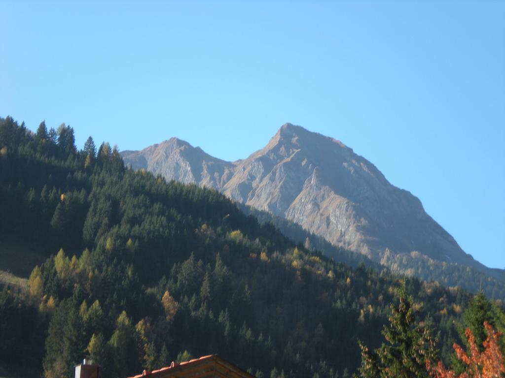 Haus Zerza Apartment Dorfgastein Exterior photo